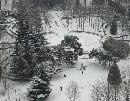 北京理工大學校園冬景